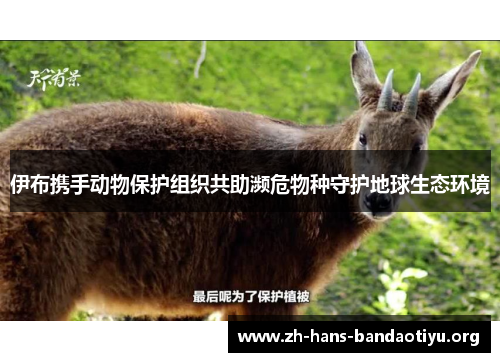 伊布携手动物保护组织共助濒危物种守护地球生态环境 伊布携手动物保护组织共助濒危物种守护地球生态环境