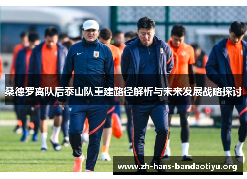 桑德罗离队后泰山队重建路径解析与未来发展战略探讨