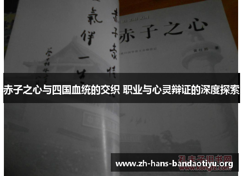 赤子之心与四国血统的交织 职业与心灵辩证的深度探索 赤子之心与四国血统的交织 职业与心灵辩证的深度探索