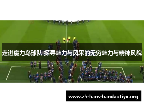 走进魔力鸟球队 探寻魅力与风采的无穷魅力与精神风貌 走进魔力鸟球队 探寻魅力与风采的无穷魅力与精神风貌